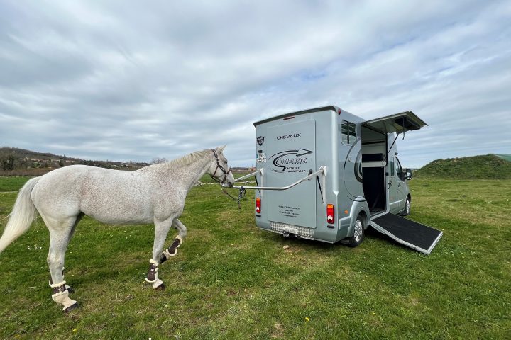 Camion à chevaux 3T5 (170 ch) — DUARIG Transports