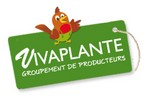 Vivaplante